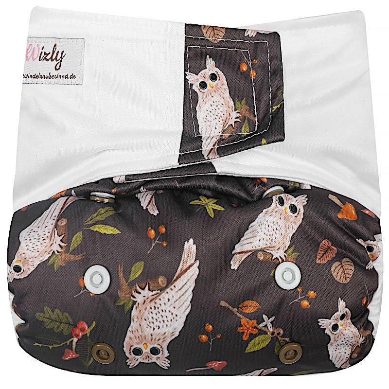 In the Woods - Owl
